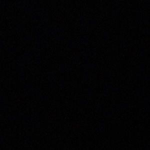 Meet your Posher, Patty